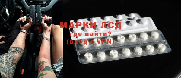 прущие грибы Новодвинск