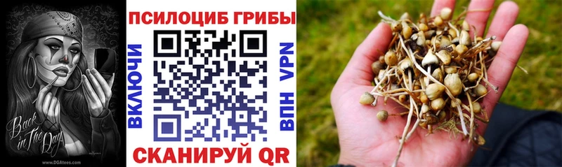 Псилоцибиновые грибы GOLDEN TEACHER  Купить закладки  Дзержинск 